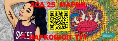 крисы Гагарин