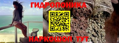 эйфоретик Гай