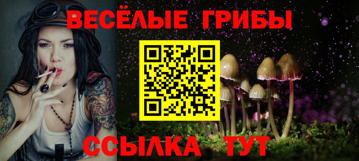 Моздок  Галлюциногенные грибы прущие грибы  Вход с VPN 