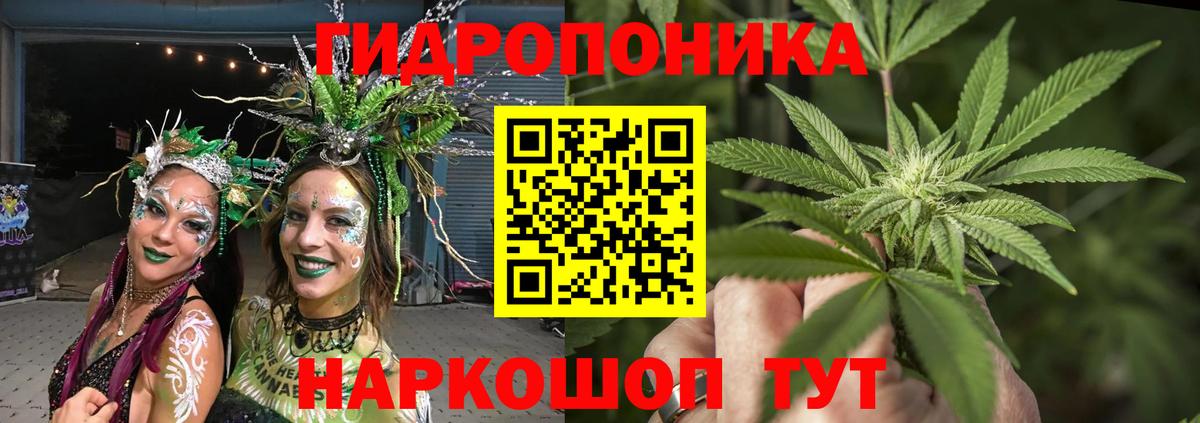 Марихуана семена Моздок